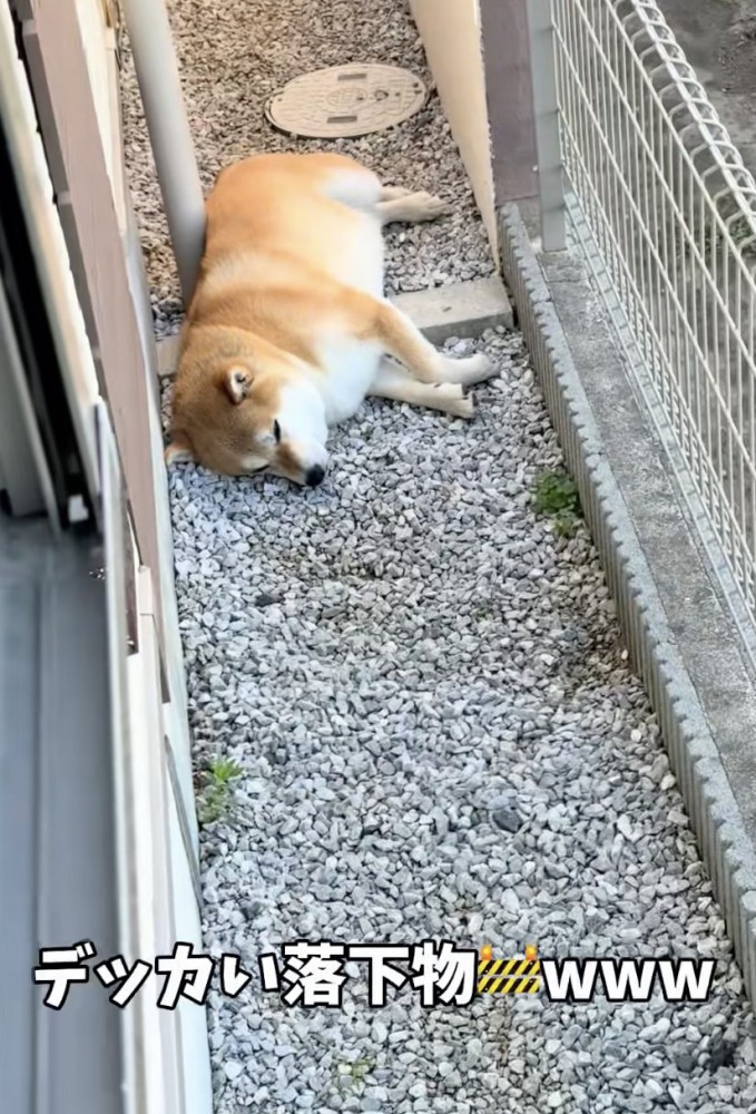 通路を完全封鎖
