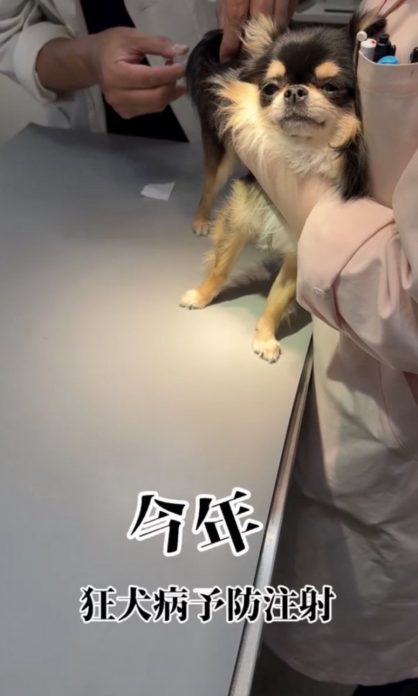 大成長