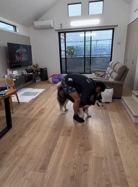 犬に顔をうずめるお兄ちゃん