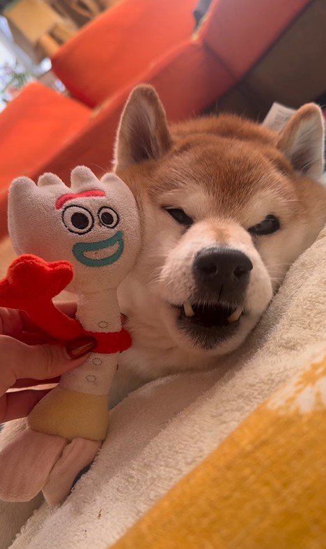 もう一度呼ぶと…