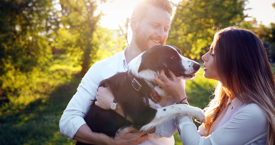 犬を抱く男性とキスをする女性