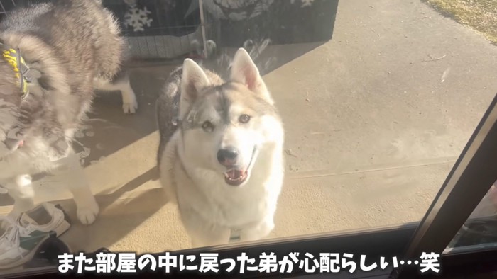 赤ちゃんの様子を見にきました