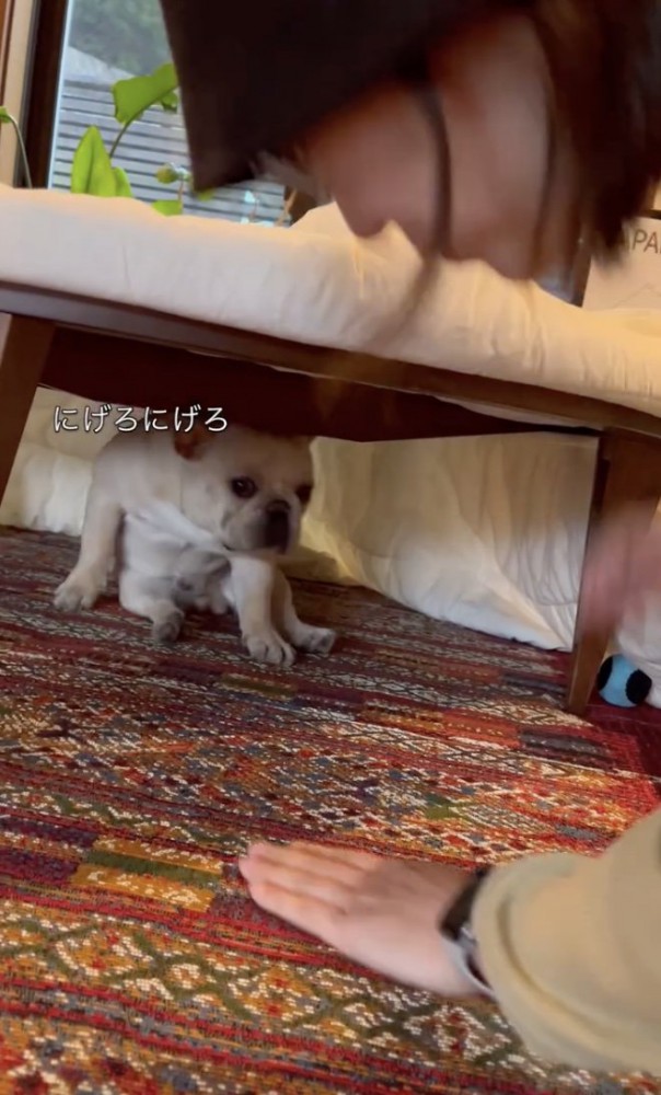 後ずさり