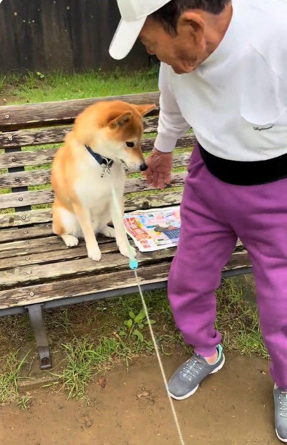 コタロウくんを促すおじいちゃん