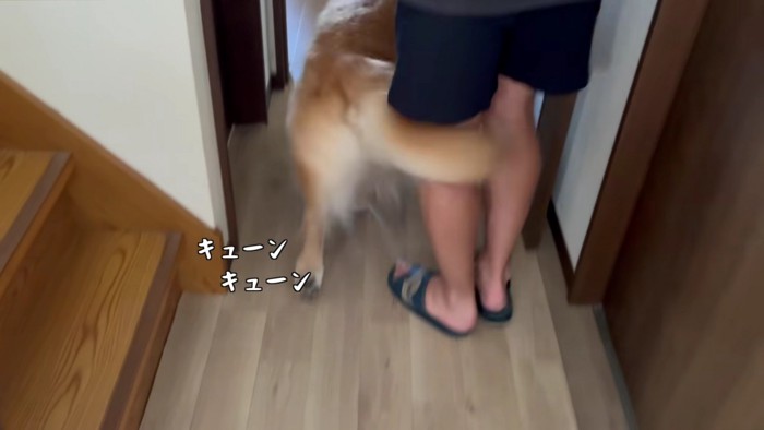 「どこに行ってたの~!」