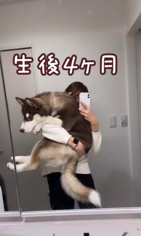 るい君の成長記録4