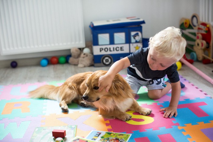 子供に触られて迷惑そうな犬