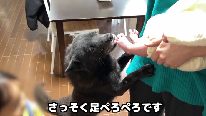 赤ちゃんに挨拶！