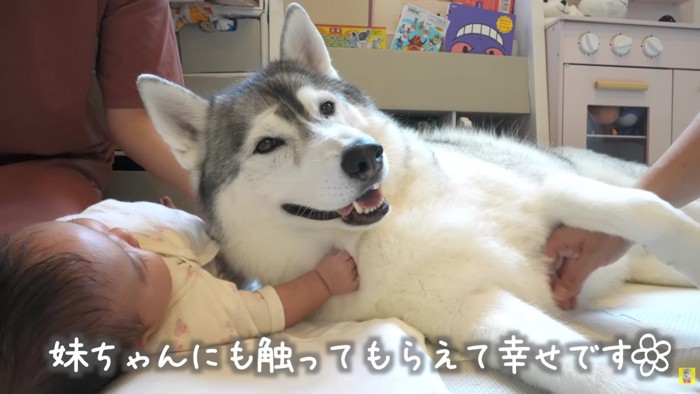 お互いに癒しあうという2人