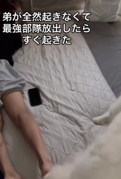 足裏をペロペロ