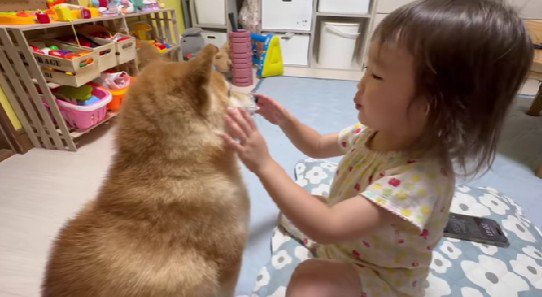 「元気になった?」