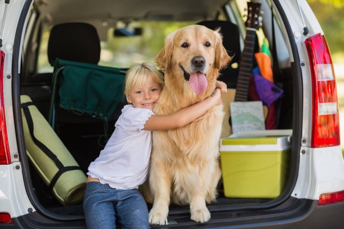 車で旅行中の女の子とゴールデンレトリーバー