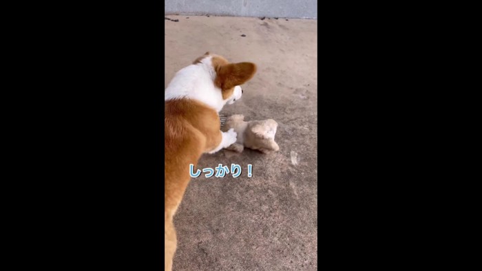 「しっかりして、子犬さん！」