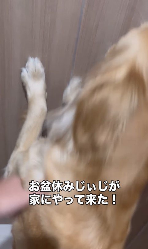 まるちゃんの熱烈歓迎2