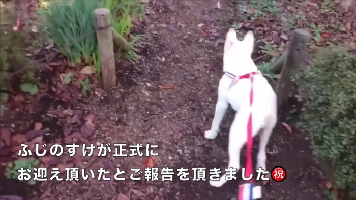 「ずっとの家族」が見つかった！