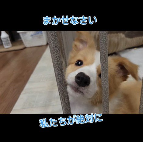 「絶対に幸せにする」