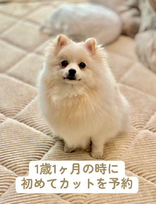 今も可愛いけれど…