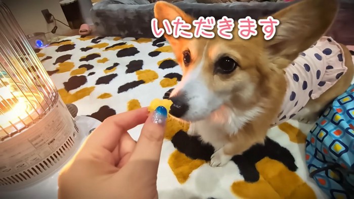 ハルちゃんはお目目キラキラ♪