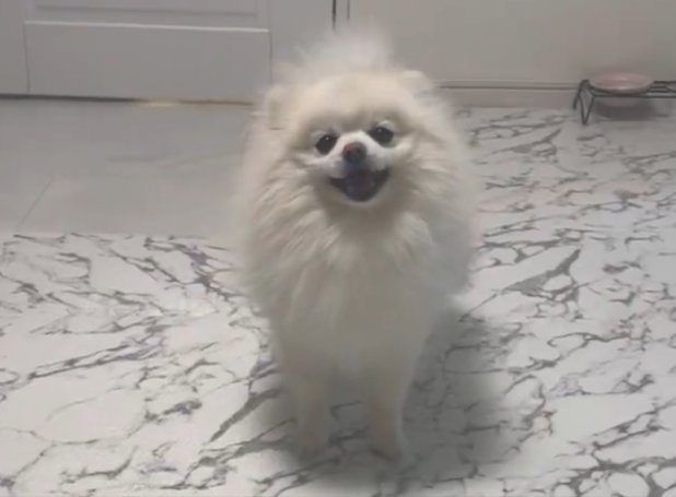ニコニコ
