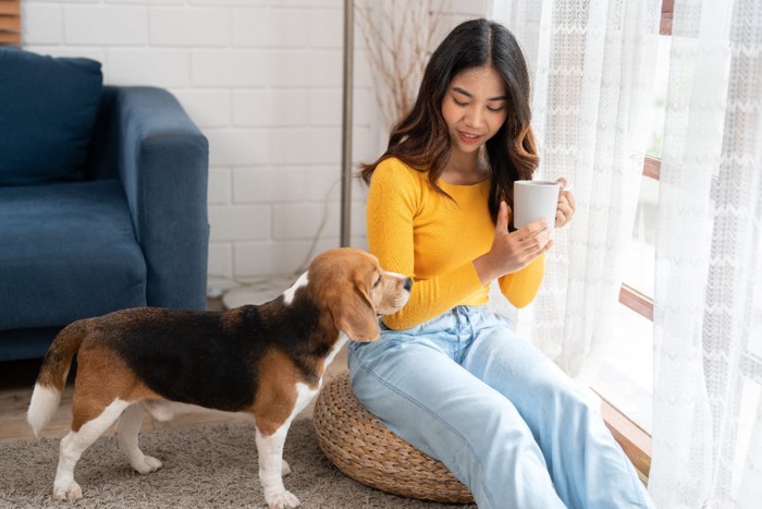 女性に近づく犬