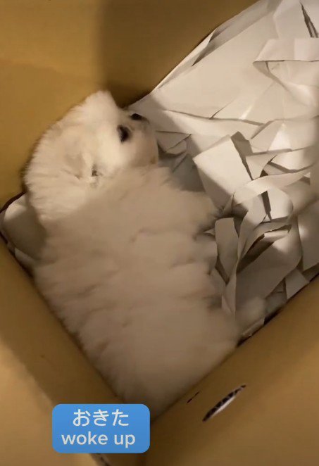 ようやく目を開けた
