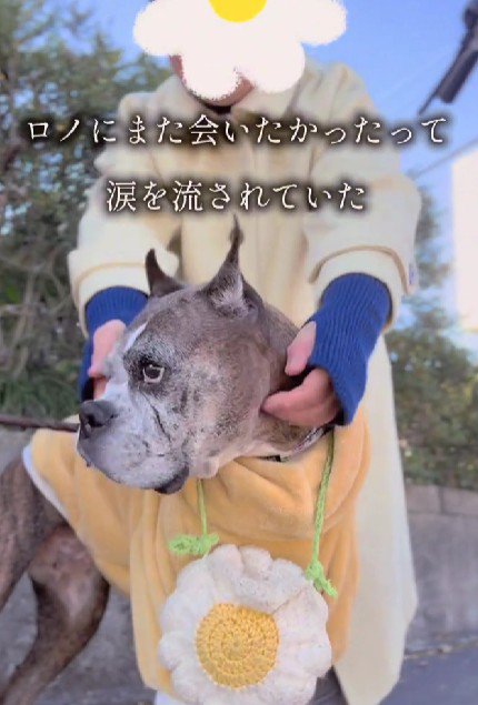 「また会いたかった」