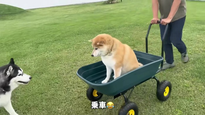 おもちくん大歓喜！