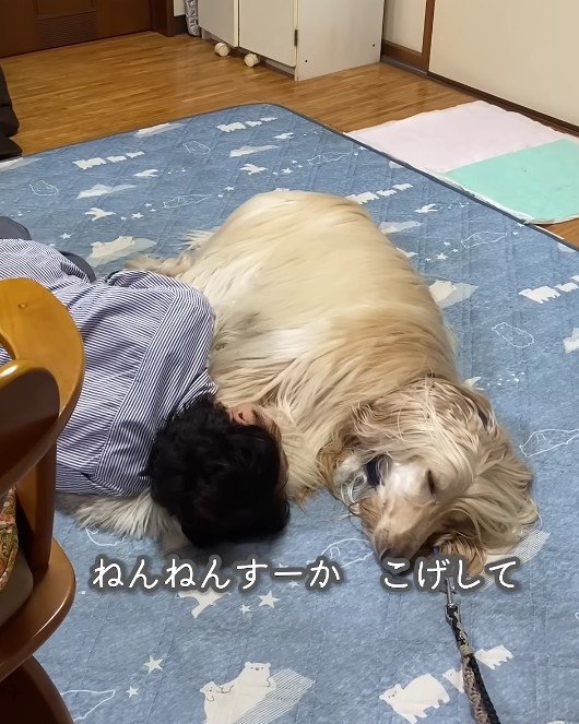 帰りたくなくなってしまった