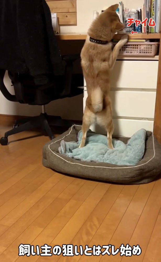 ゴソゴソ