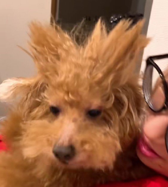 可愛すぎる寝癖にホッコリ