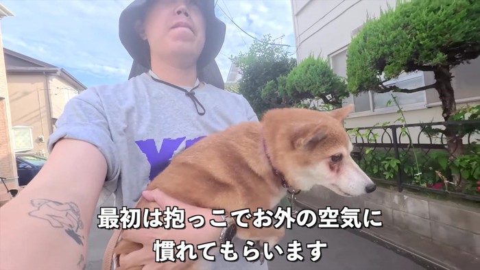 初めてのお散歩に挑戦