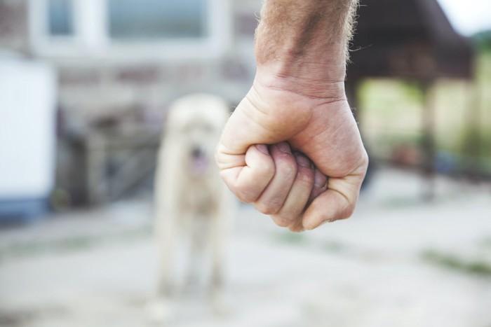 人の握りこぶしと遠くにいる犬