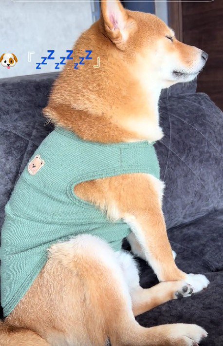 このまま寝ようかな…