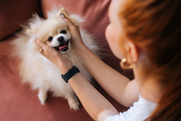 犬の顔を挟んで触っている女性