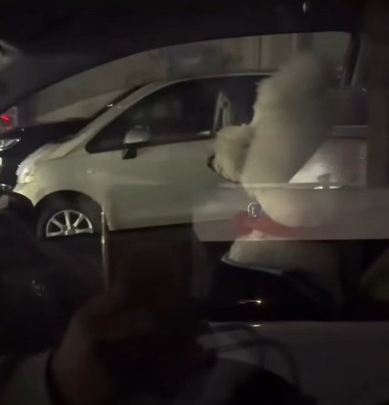 「知らんぷりしとこ…」