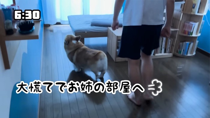 「もう帰ってきた!?」