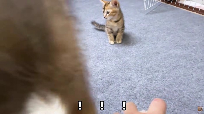 !?