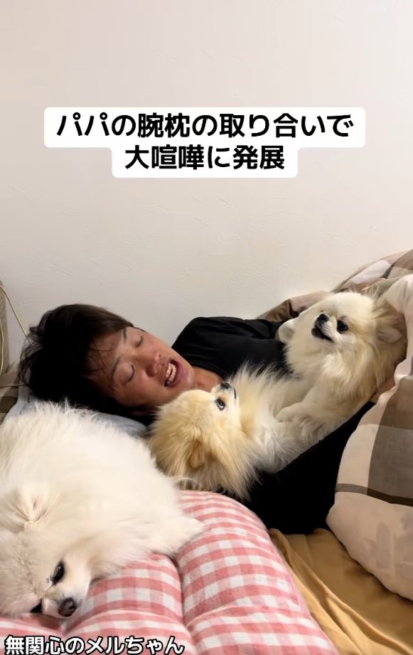 無関心のメルちゃん