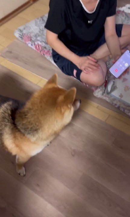 おばあちゃんと電話