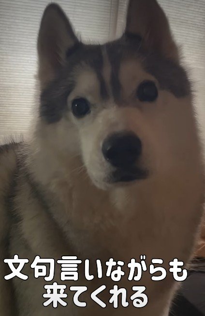 長女の帰宅も嬉しい♪