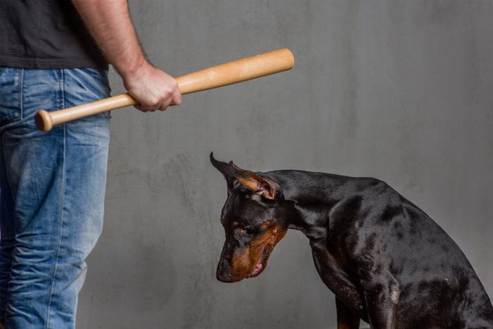 怯える犬とバットを持つ男性