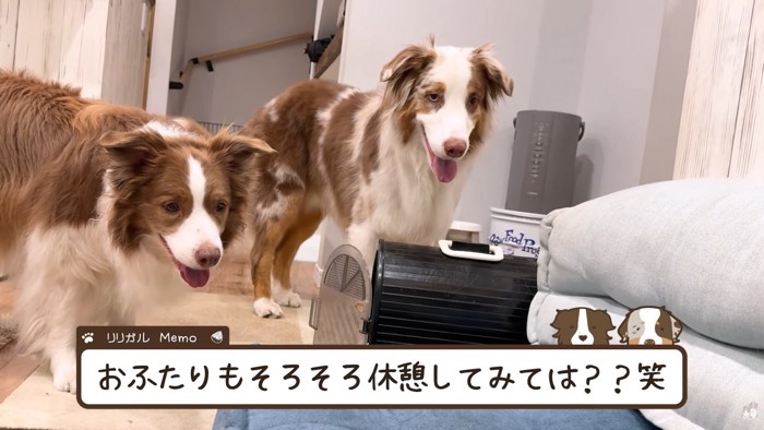 「もうお疲れかな…？」