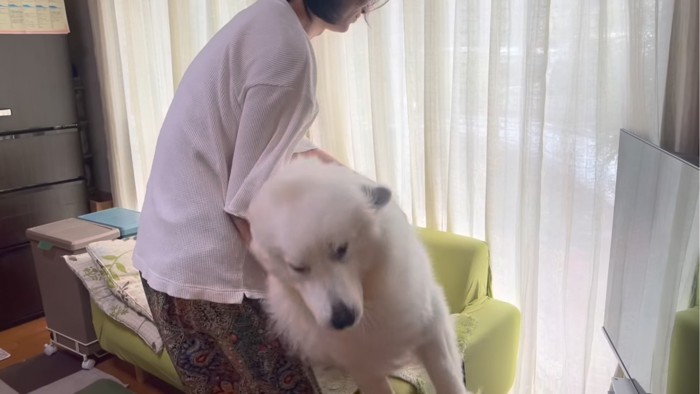 逃げようとする犬