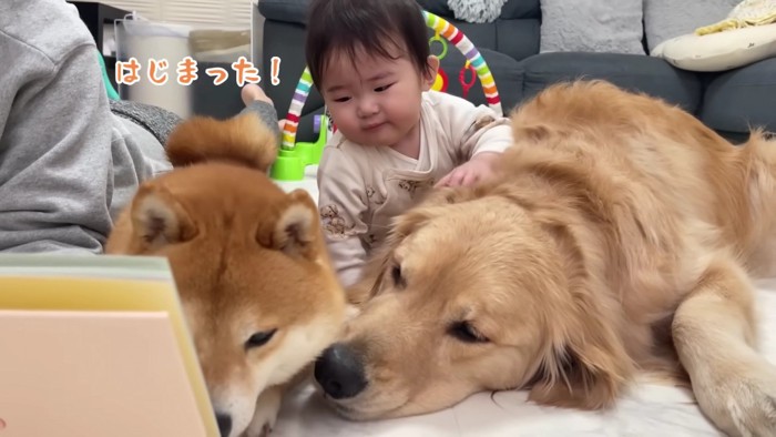 「始まった！」