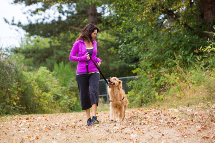 アイコンタクトしながら走る女性と犬