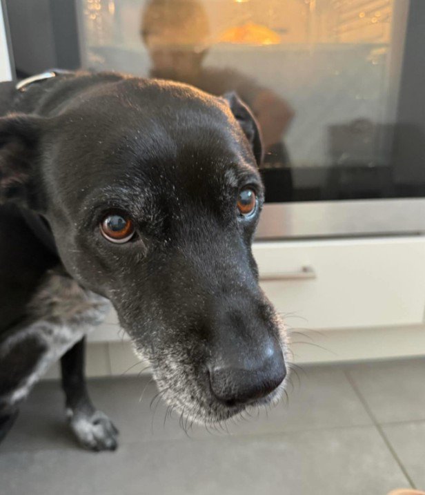 キッチンで作業をしていたら…