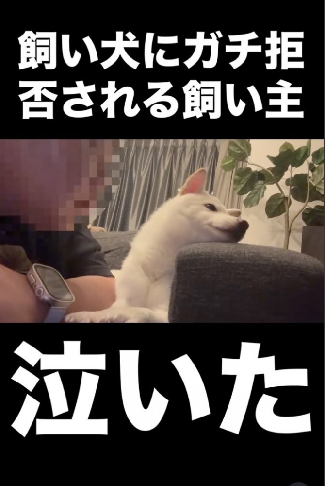 逆向いちゃった！