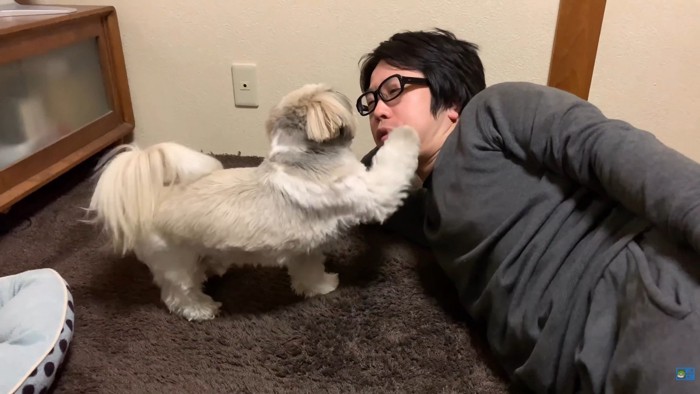 みかんを食べたいてんぽさん3