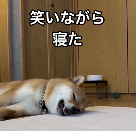 幸せいっぱい