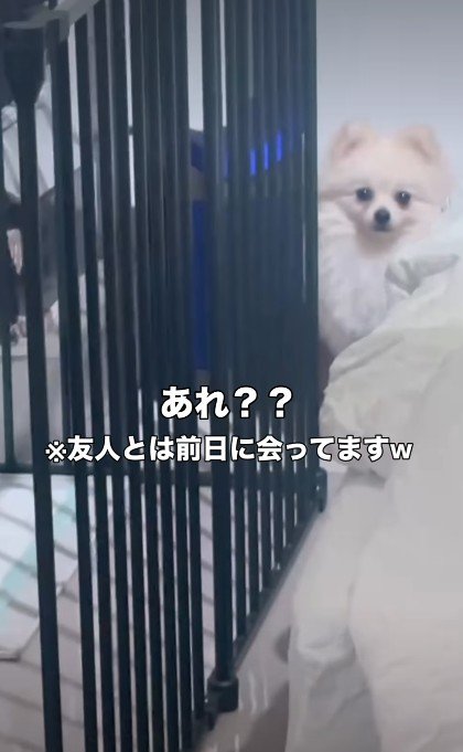 久々の再会に…